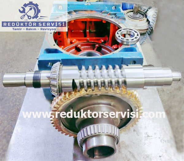 Rossi Redüktör Dişlisi